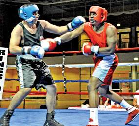 Es-tu prêt pour la boxe en amateur?